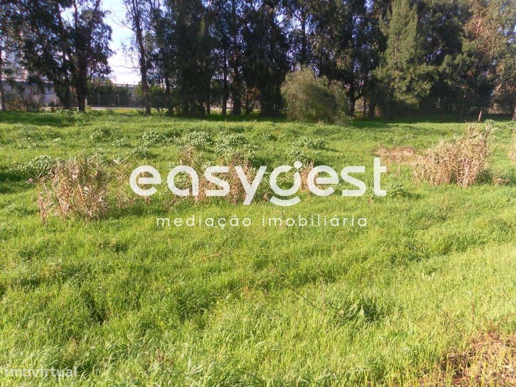 Lote de Terreno Urbano 253m2 para Moradia - Entroncamento - Grande imagem: 5/8