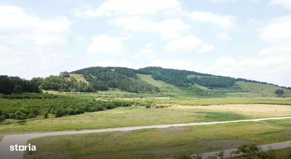 Vand teren intravilan Sanpetru la poalele Dealului Lempes-8