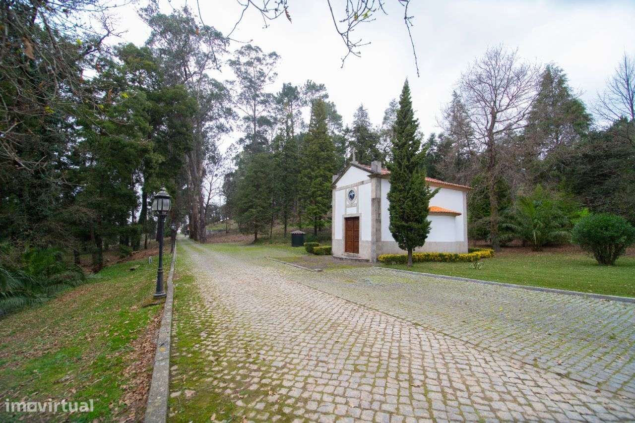 Quinta para venda em Oliveira de Azeméis-53