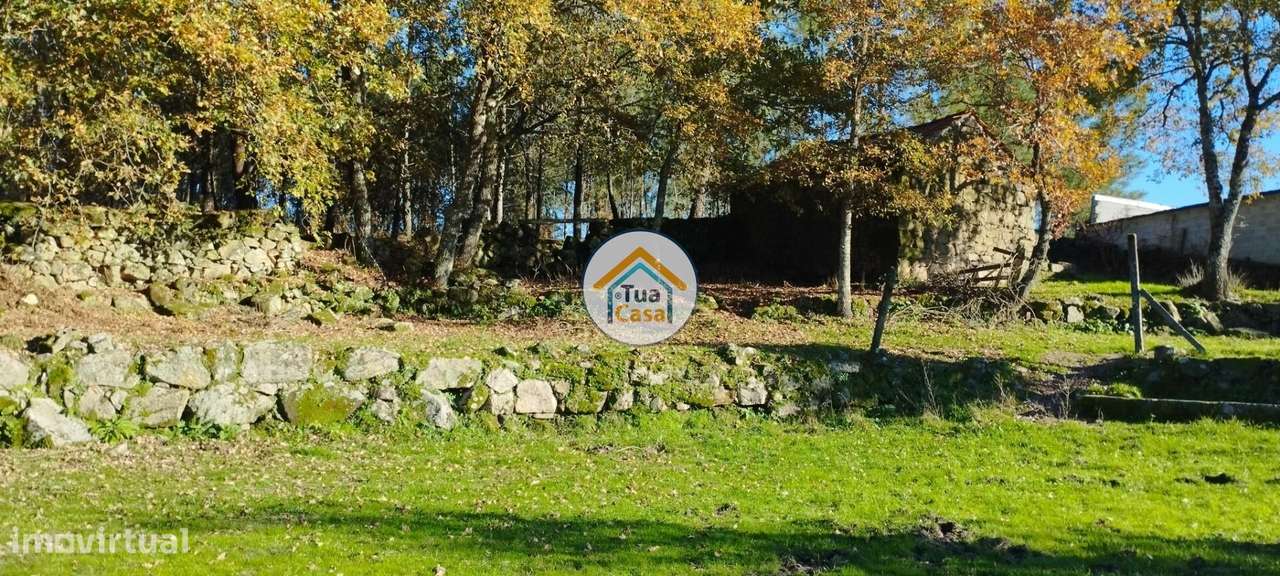Quinta com Casa em Pedra com 5.455 m2 em Bodiosa a 10 km de Viseu - Grande imagem: 2/17
