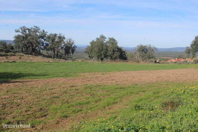 Terreno Aldeia Santa Margarida - Grande imagem: 5/9