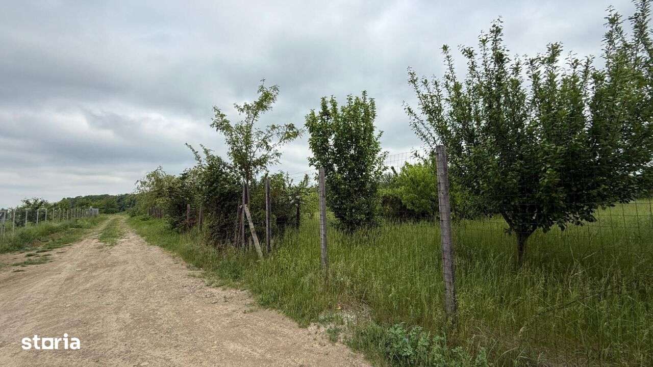 TEREN PENTRU CONSTRUCTIA CASEI, MIROSLAVA, VALEA URSULUI-8