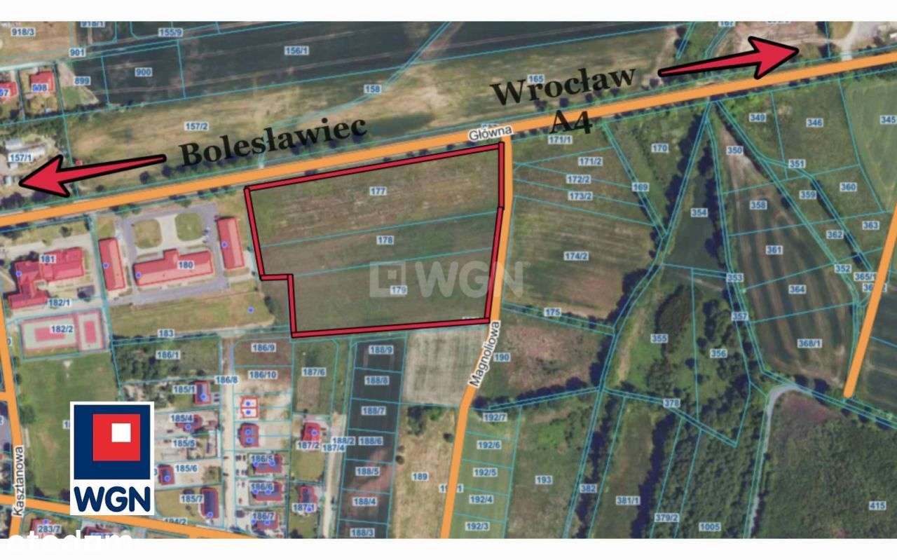 Działka, 24 500 m², Kruszyn - Pełny obrazek: 4/13