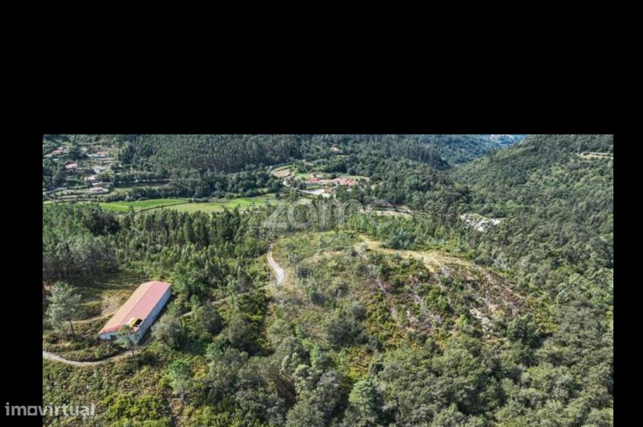 Terreno Rústico em Terras de Bouro - Grande imagem: 4/5
