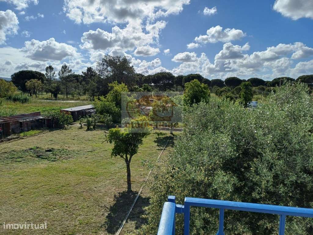 Excelente oportunidade - Quinta com 3 habitações em Grândola-14