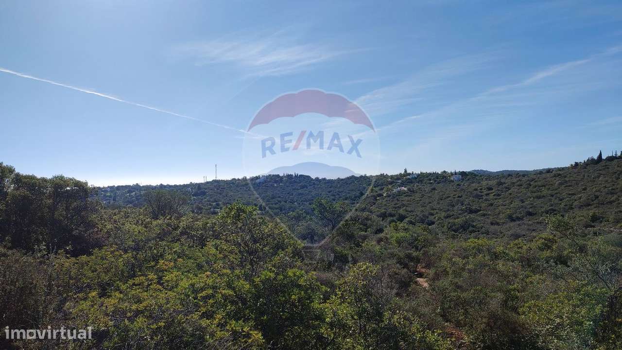 Terreno  para venda - Grande imagem: 5/12