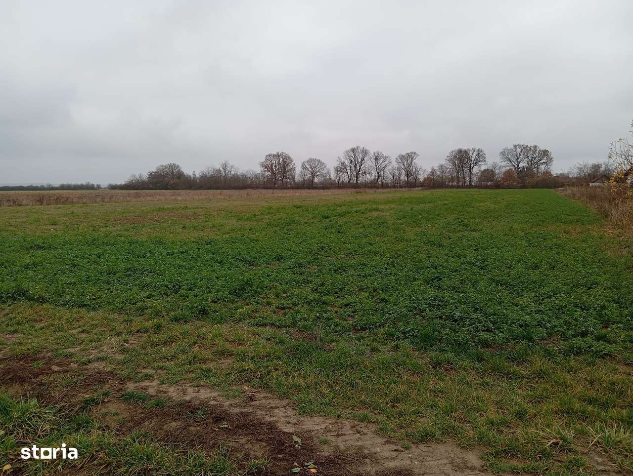 Teren de vânzare – 3 parcele intravilane la intrare în Mădăras-1