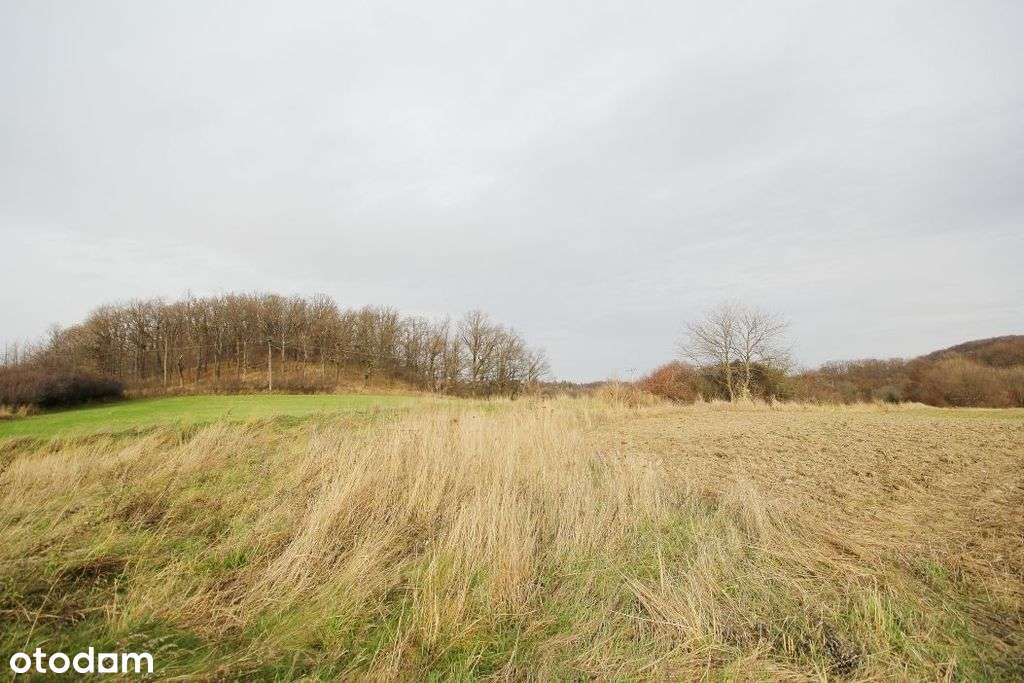 Działka z pięknym widokiem na panoramę-7