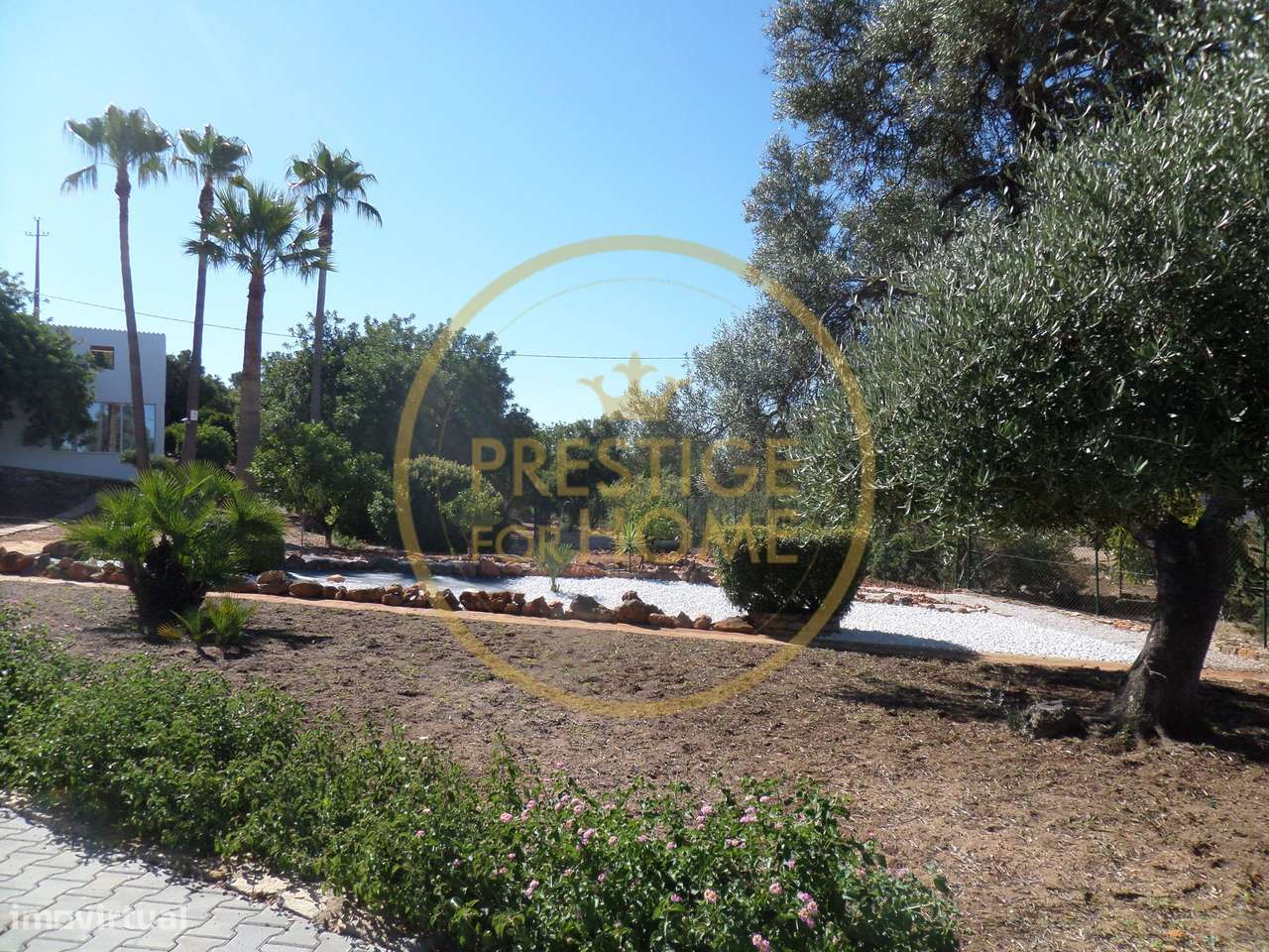 Moradia T3 com Vista Mar Panorâmica, Piscina e 5.000 m² de Terreno – S-55