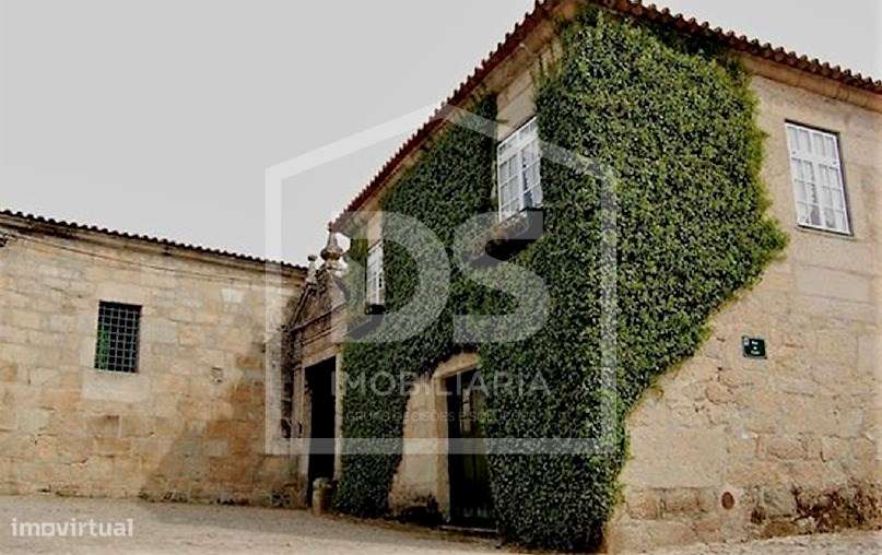 Douro Vinhateiro, Quinta Turística-31