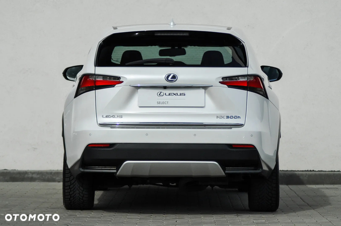 Lexus NX - 6