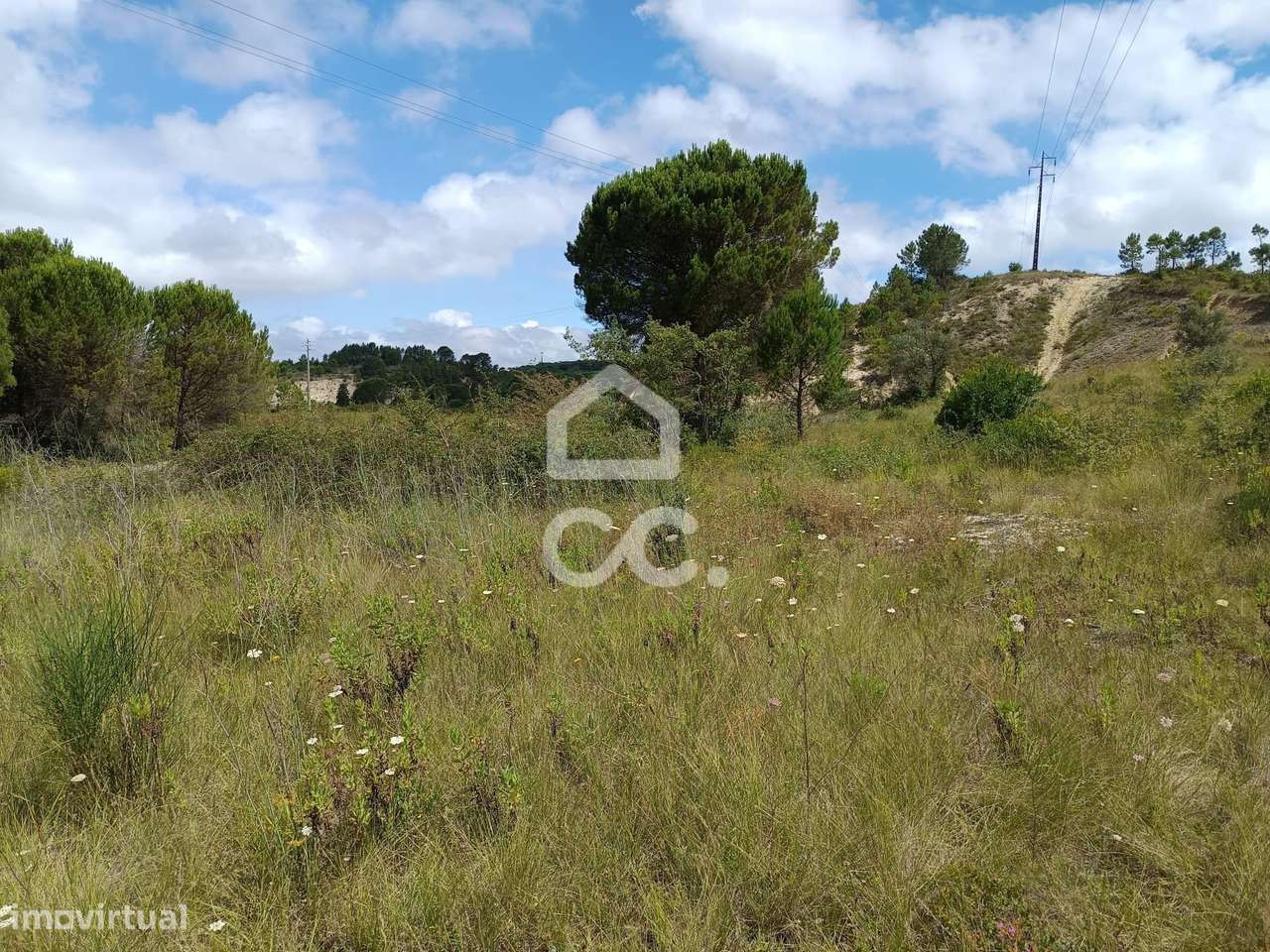 Terreno em Cernache com 7.609m2 - Grande imagem: 5/9