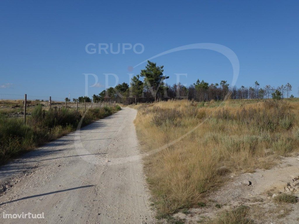 Terreno agro-florestal com cerca de 11 ha. em Alijó