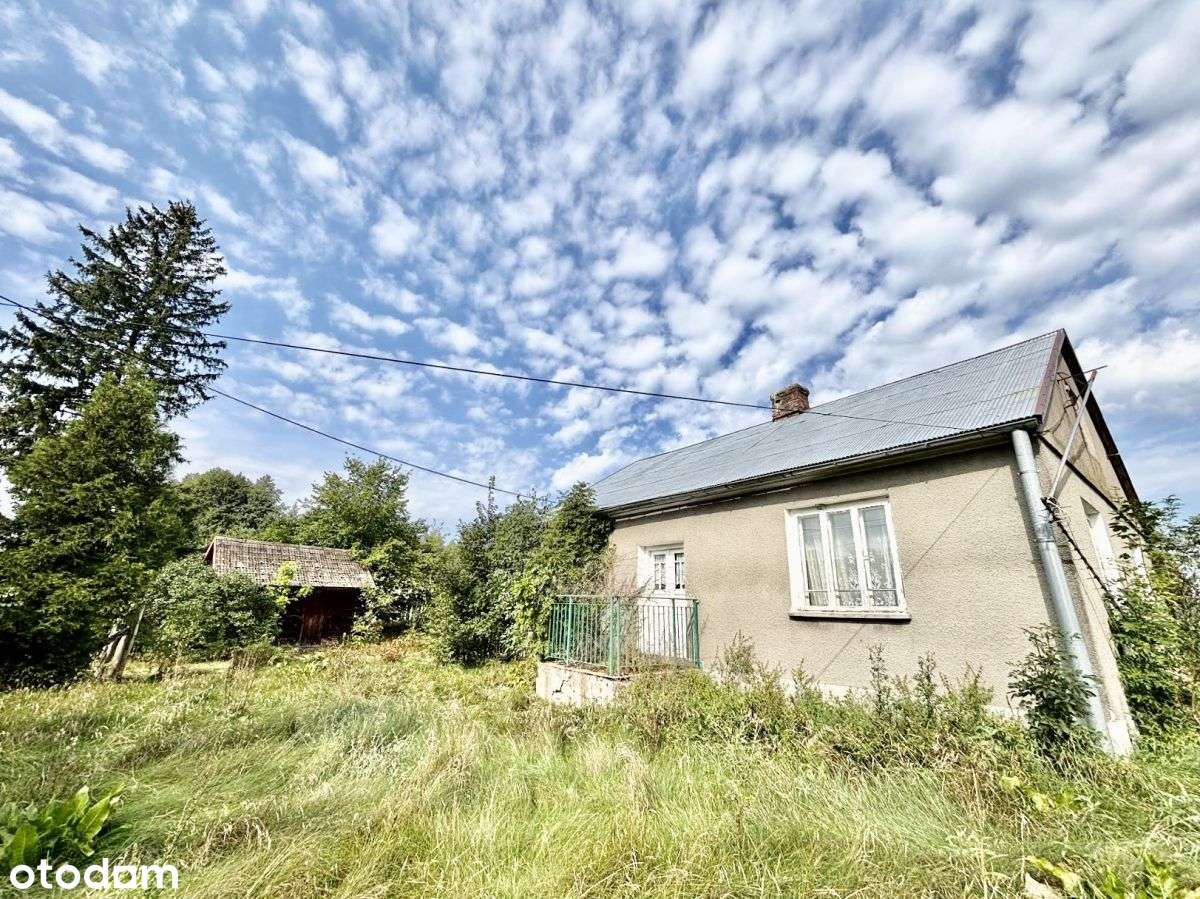 Zamieszkaj na wsi-11