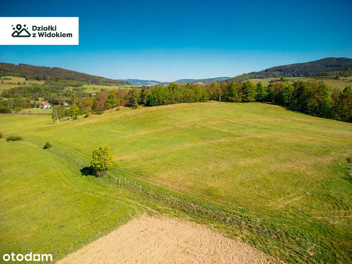 Dębrznik - działka budowlana z WZ, prądem i dojazdem S3 - Pełny obrazek: 4/4