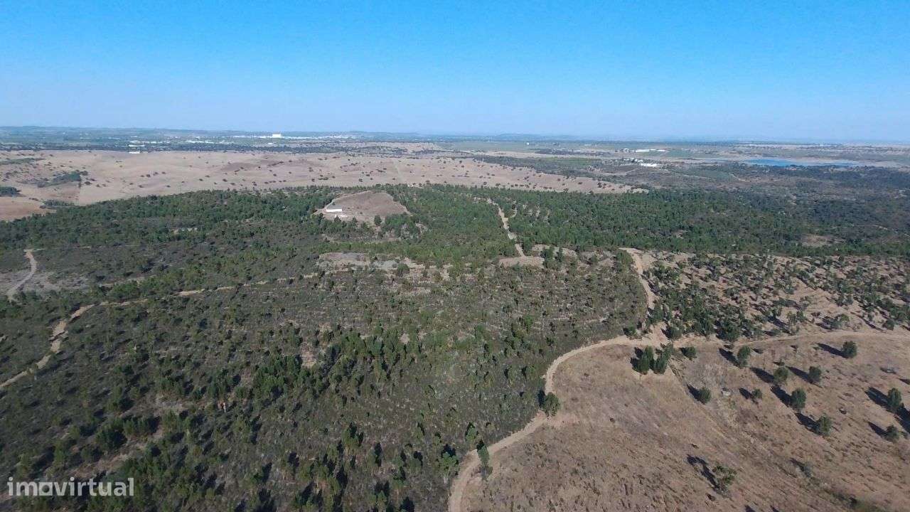 Alqueva - 3 Herdades confinantes 783 ha-10