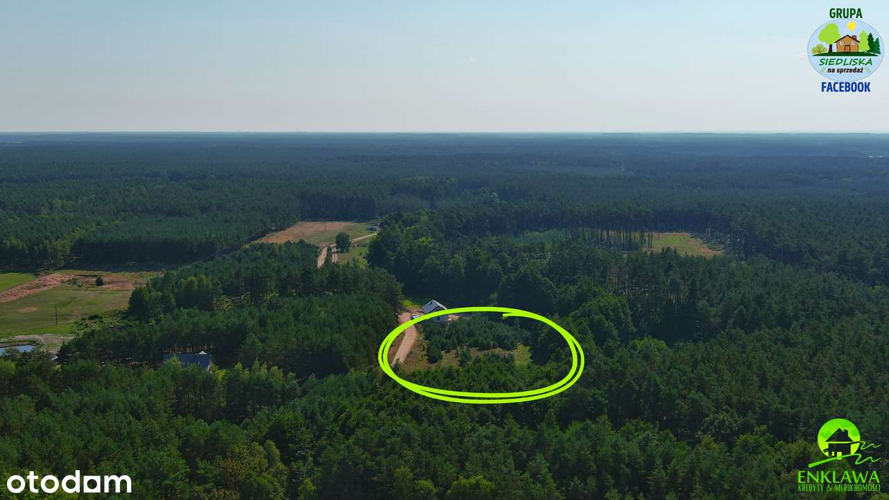 ENKLAWA prezentuje: działka w MEGA okolicy! PUSZCZA NOTECKA + jezioro!-11