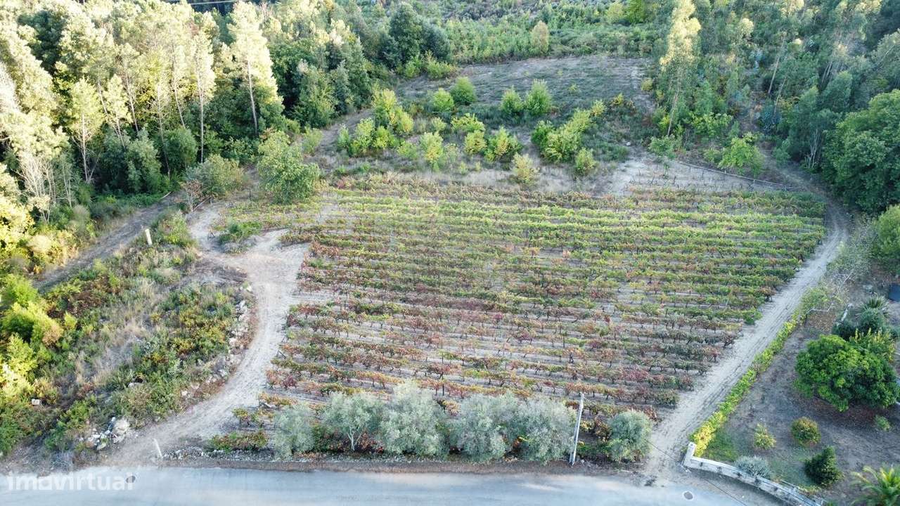 Terreno  para venda - Grande imagem: 1/12