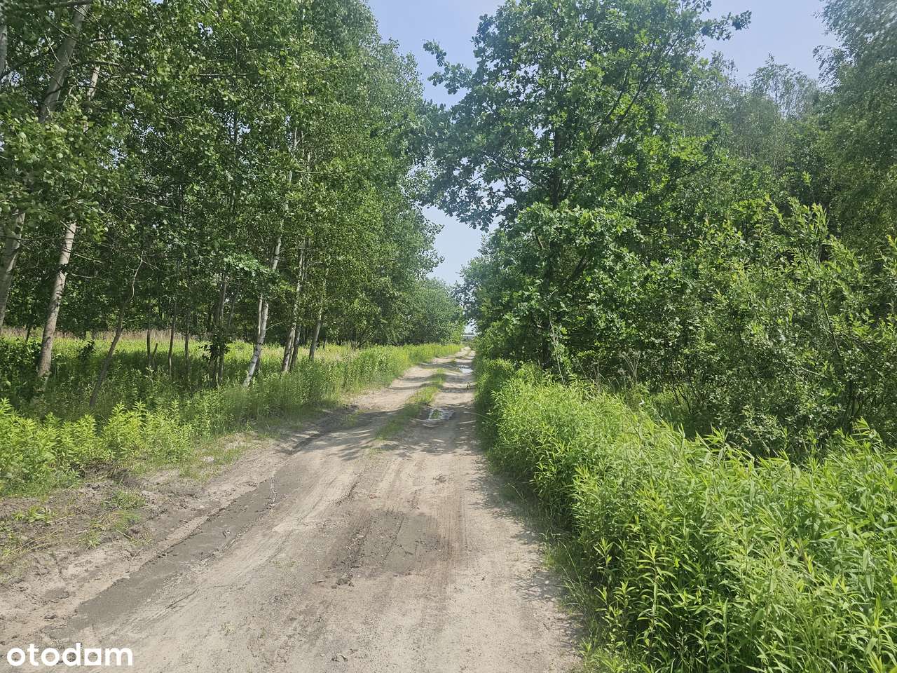 Blisko trasy S17. Uchwalony MPZP - USŁUGI / PRZEMYSŁ. Brak sąsiadów-9