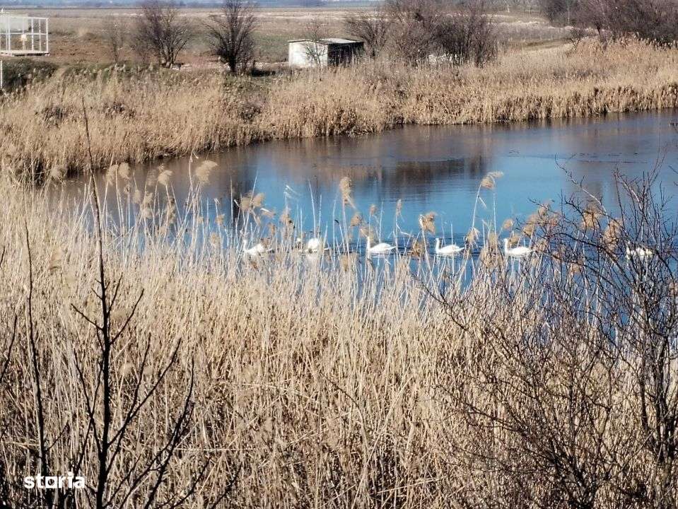 Teren intravilan 609 mp Vidra, deschidere 24 m, ideal pentru construct - Imagine principală: 5/9