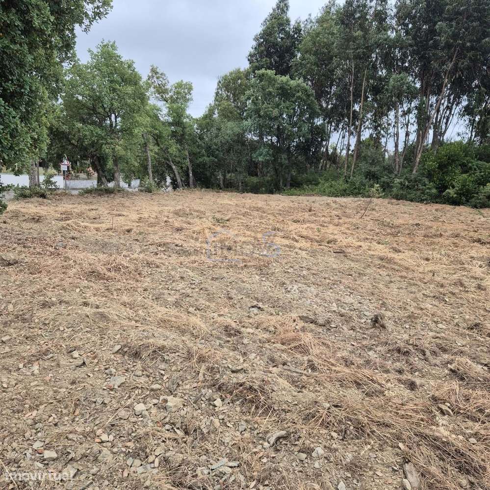 Terreno com 4.560 m² e Viabilidade de Construção – Casais, FZZ-13