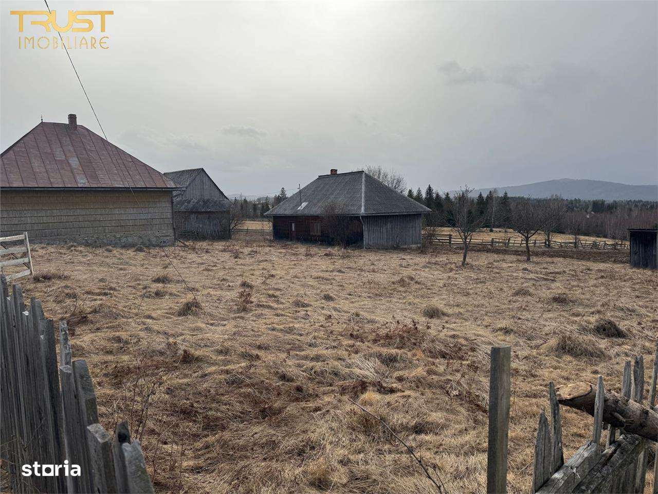 Teren intravilan I 2433 MP I Dealu Negru - Imagine principală: 4/5