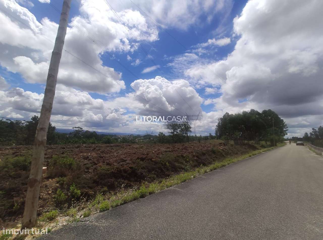 Terreno para construção de Armazéns | Moradias | Águeda - Grande imagem: 2/10