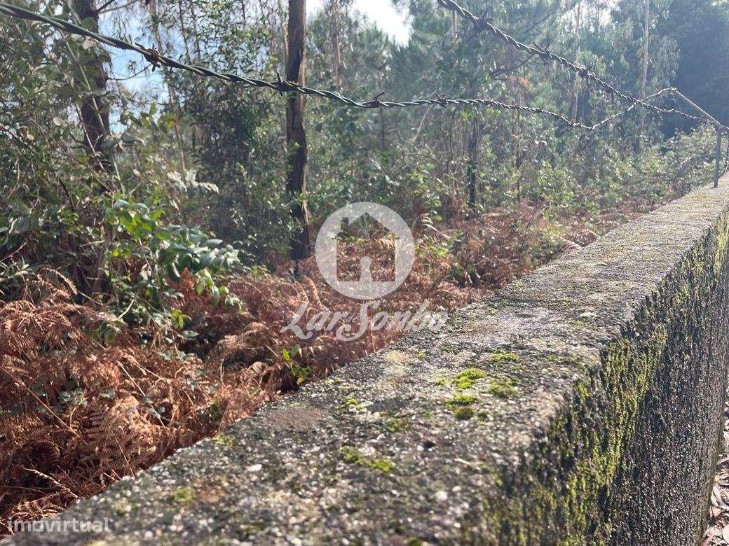 Terreno Rústico de 25000m² em Canidelo, Vila do Conde - Grande imagem: 4/4