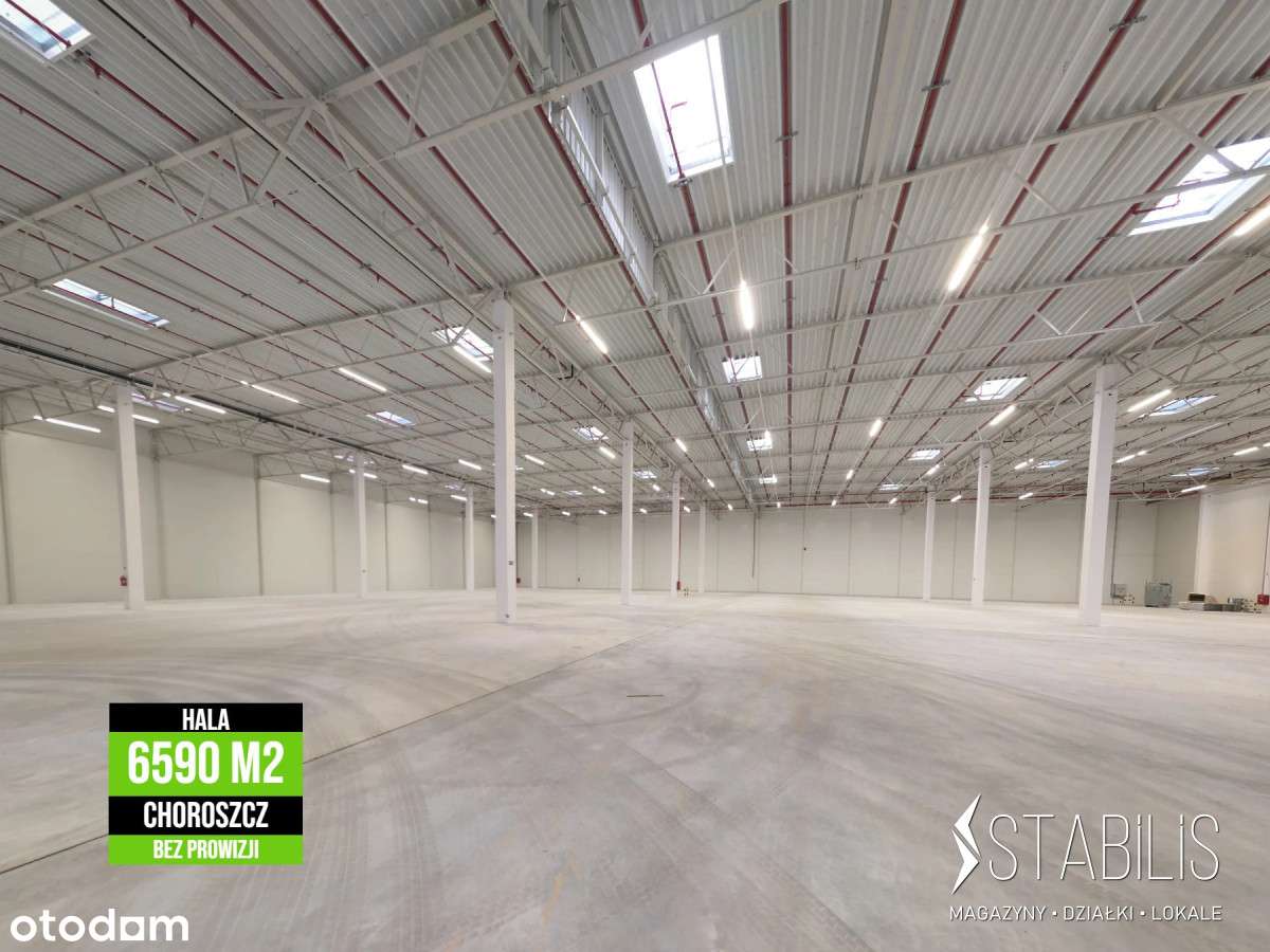 Hala 6590 m2 / Choroszcz / Wysokie Składowanie - Pełny obrazek: 4/5