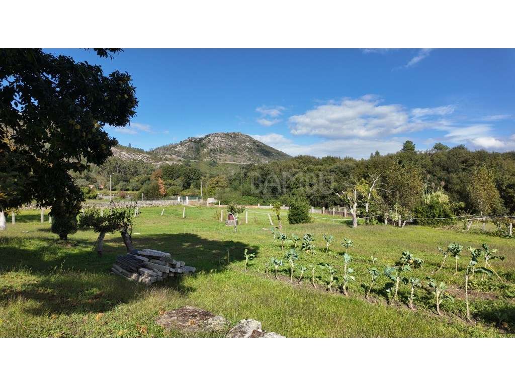 Moradia T2 em Vilar de Mouros, inserida em terreno com 3113m2-21