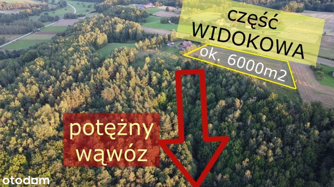 WIDOKOWA działka na WZGÓRZU z panoramą na Góry Św.-6