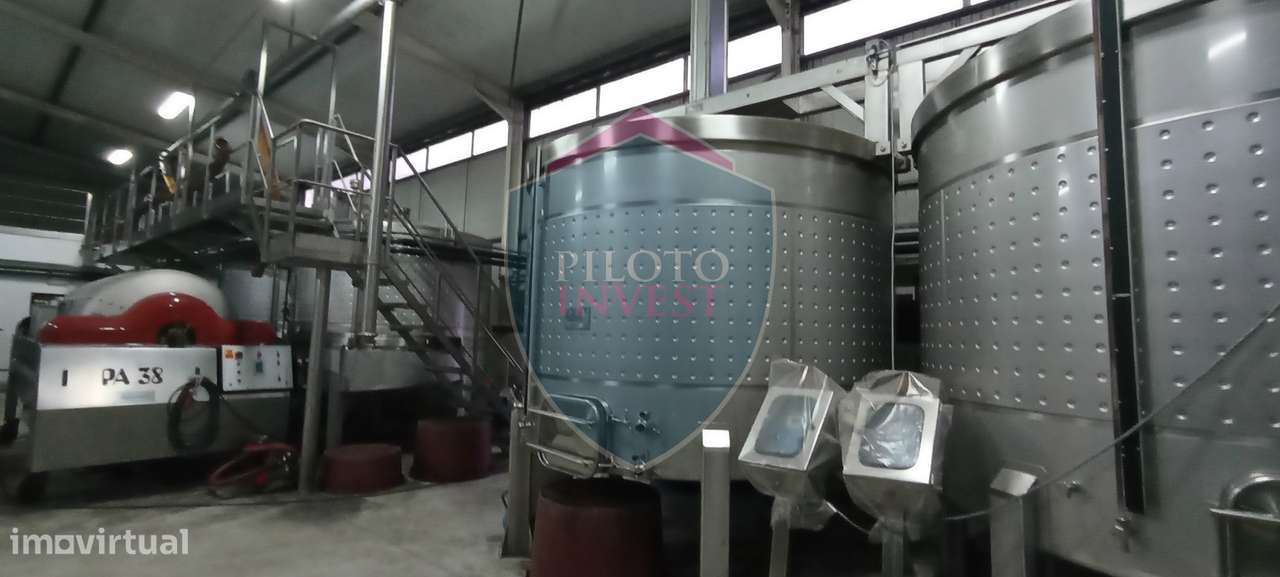 Quinta  Venda em Sezures,Penalva do Castelo-15