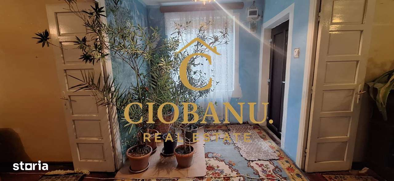 Casa de vanzare zona Campia Islaz-18