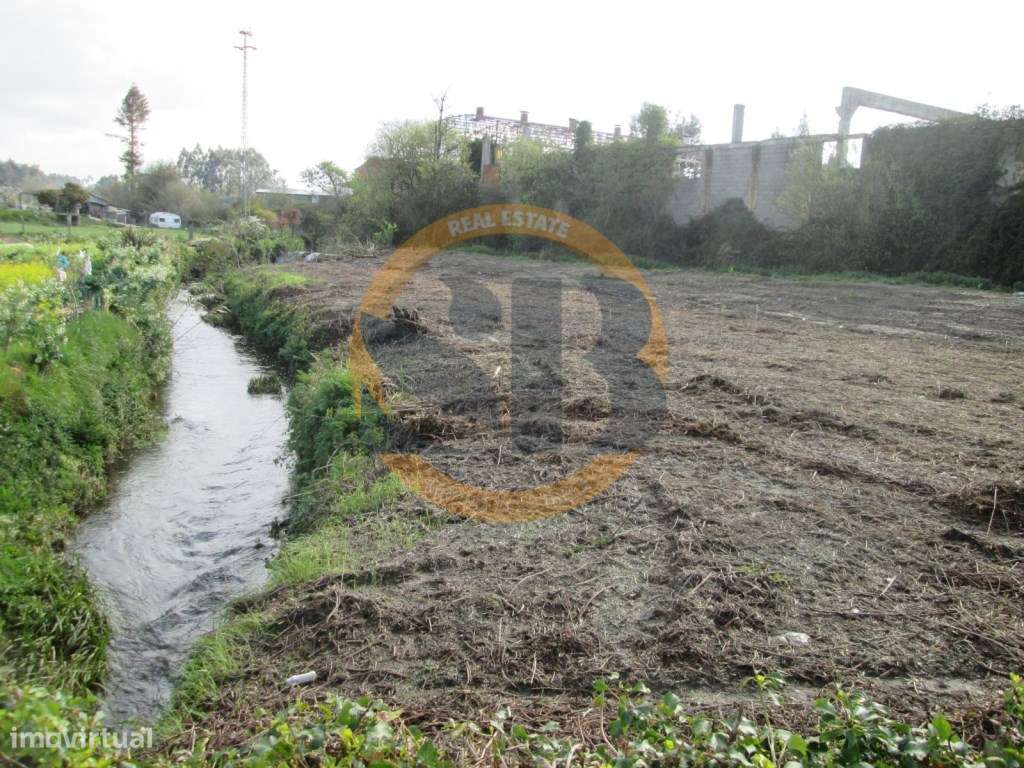 Terreno Rústico - São João de Ovar - Grande imagem: 2/9