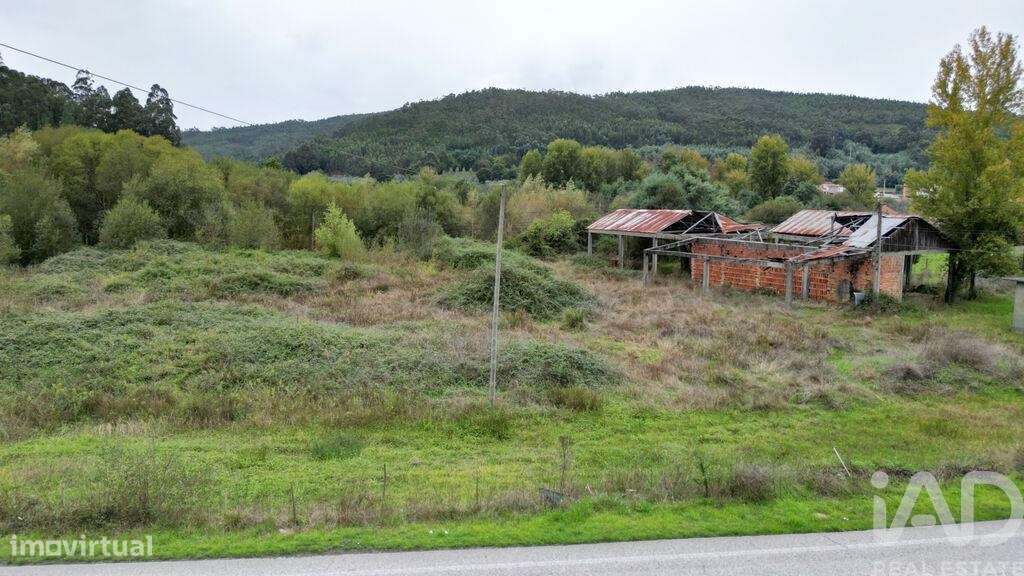 Terreno para construção em Miranda do Corvo de 250,00 m2 - Grande imagem: 2/21