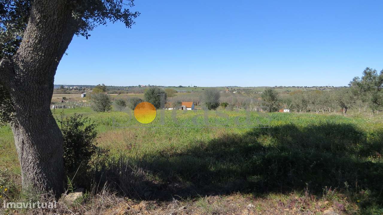 Quinta com duas habitações em Sta. Catarina - Alcácer do Sal-7