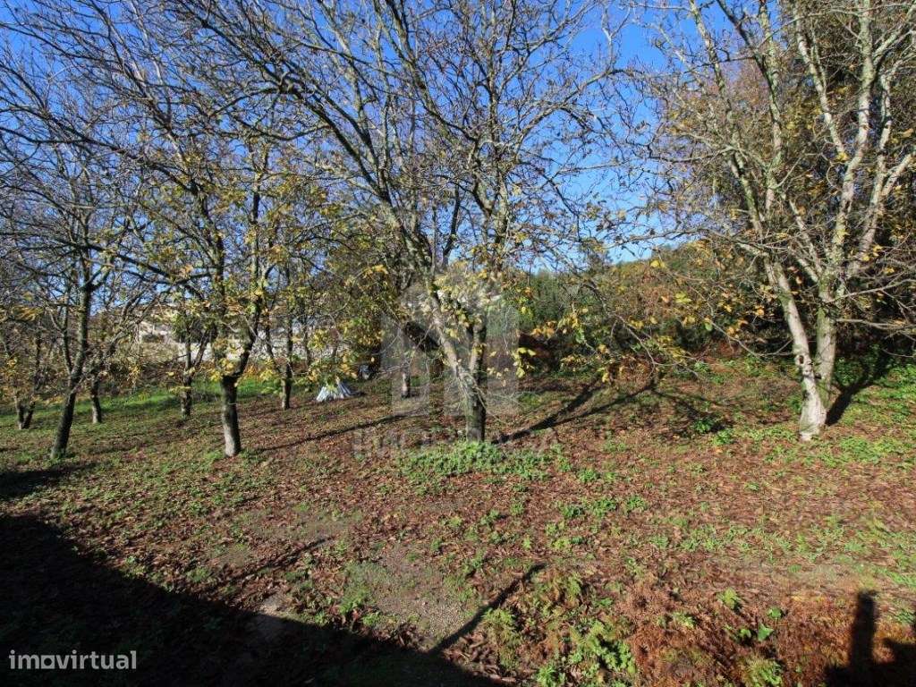 Venda de Terreno para Lotear, em Gualtar, Braga-4