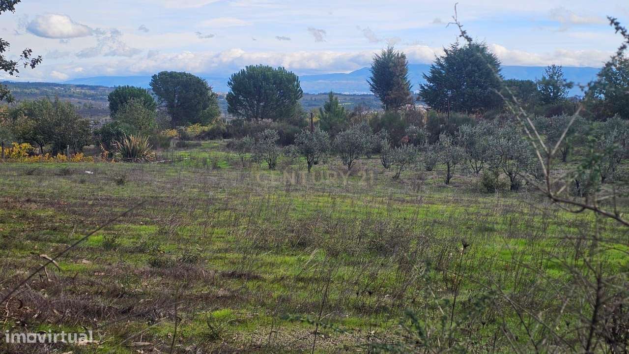 Terreno  Nelas - Grande imagem: 4/9