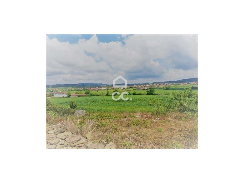 Terreno em Balazar - Grande imagem: 5/11