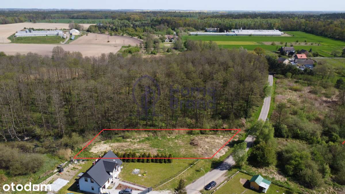 Obok Lasu| Sokołowice| Okazja - Pełny obrazek: 3/4