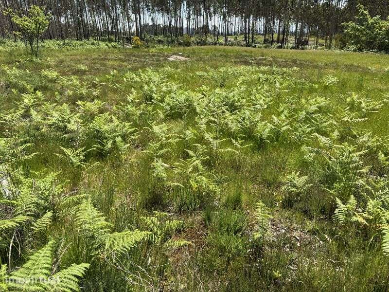 Terreno para construção - Grande imagem: 4/4