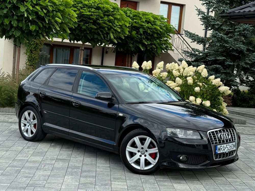 Audi A3 8P (2003-2012) 2.0 TDI DPF quattro S line Sportpaket plus 2006