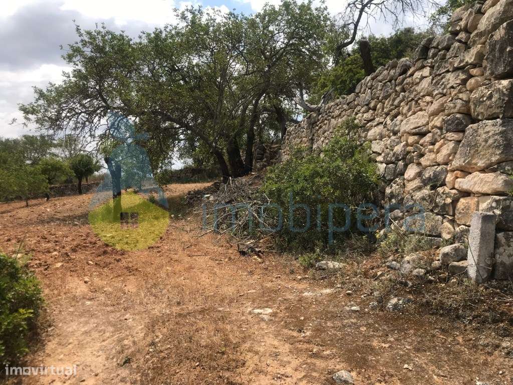 TERRENO RÚSTICO 1.200m2 ZONA BONITA E TRANQUILA - Grande imagem: 2/17