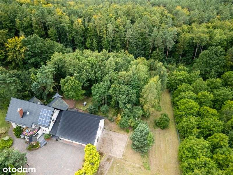 Nieruchomość w otulinie lasu, na działce pow 6844m-4