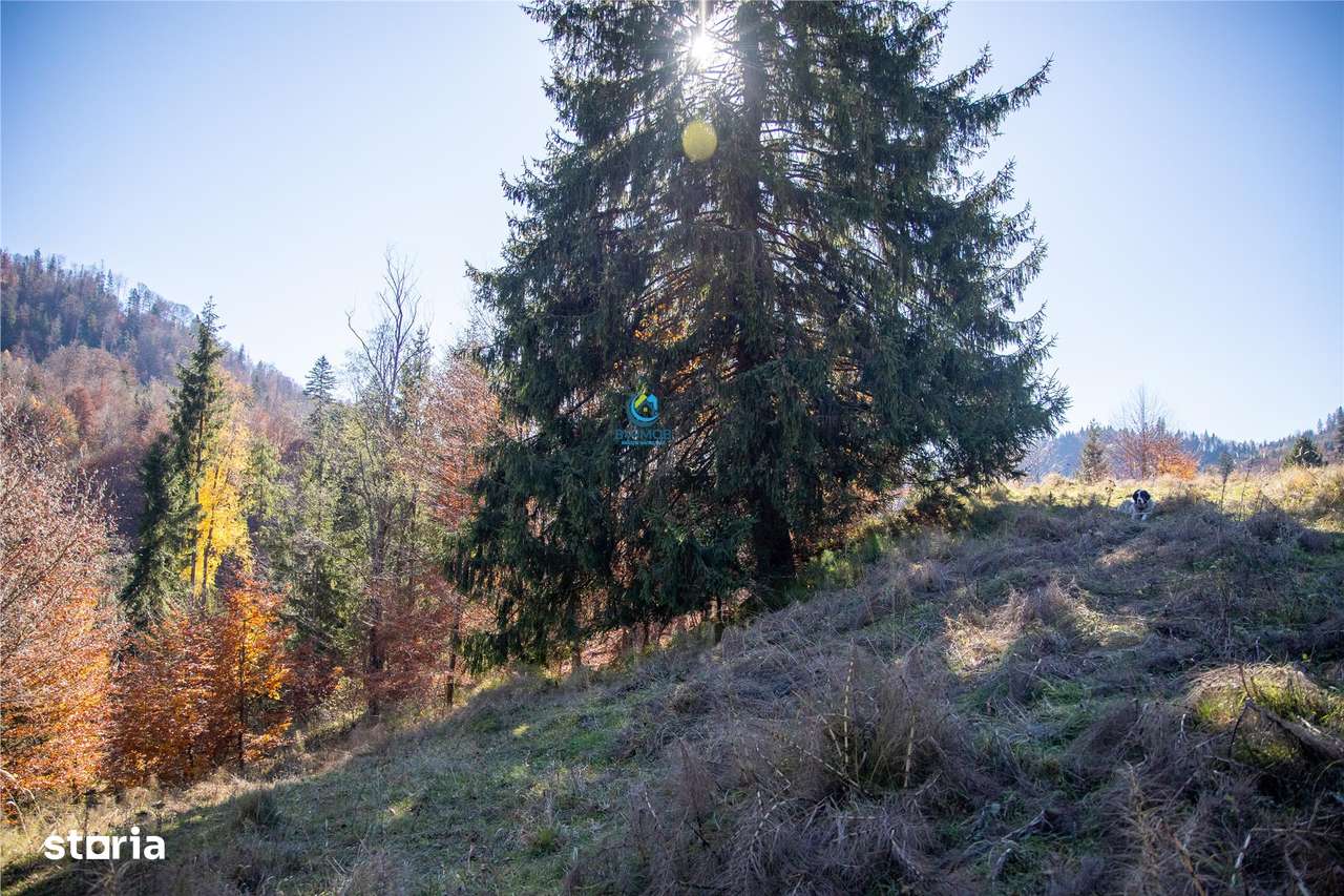 Teren de Vis langa Siriu  – 20000 mp ideal pentru Complex turistic Com-14