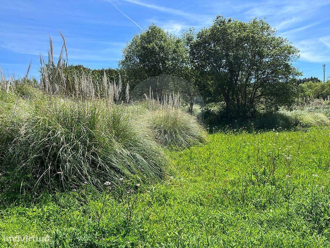Terreno  para venda - Grande imagem: 1/5