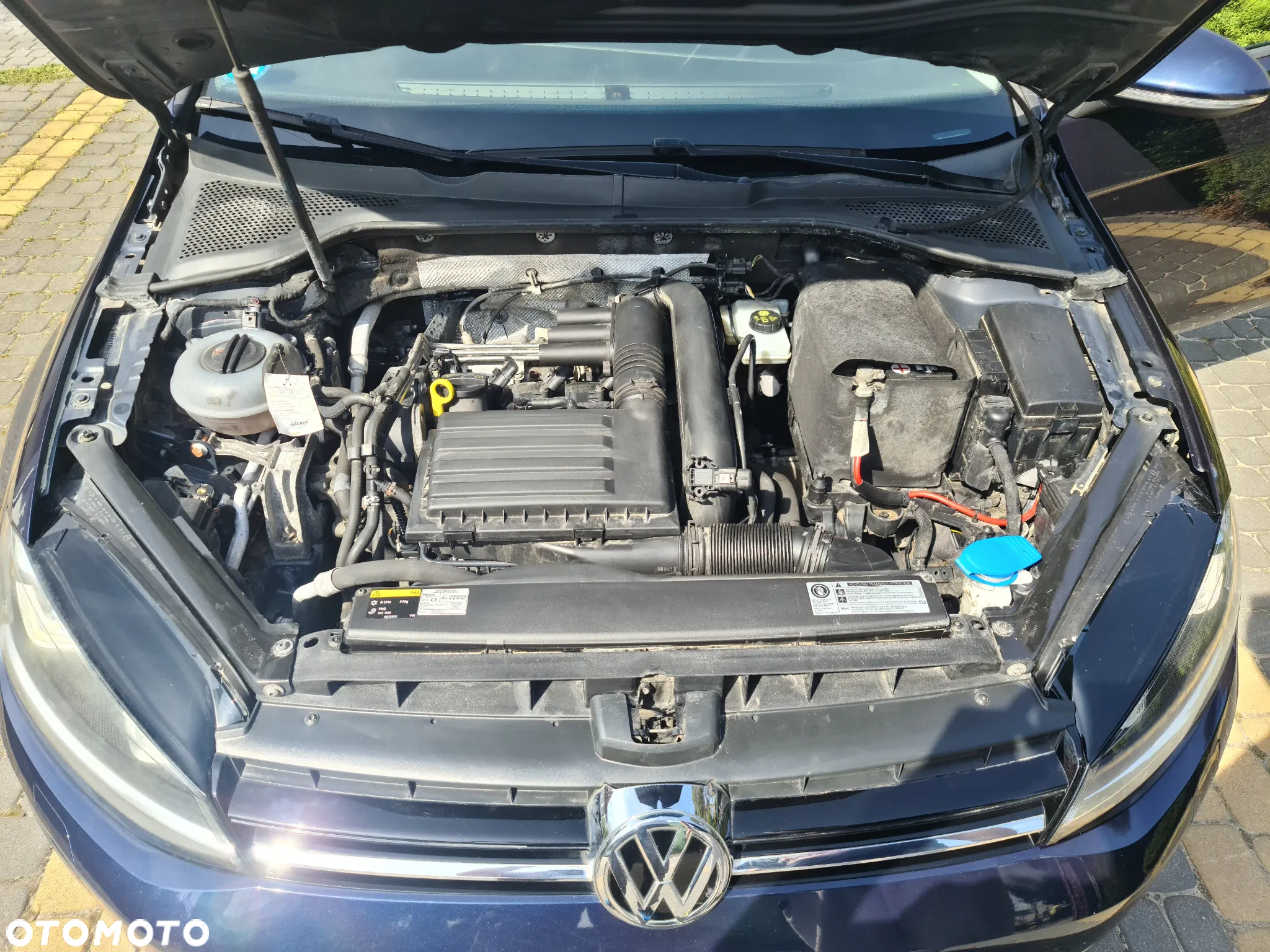 Volkswagen Golf 1.4 TSI (BlueMotion Technology) DSG Highline - 7