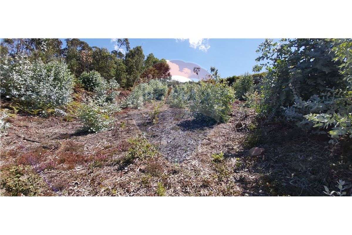 Terreno T0 para venda - Grande imagem: 4/8