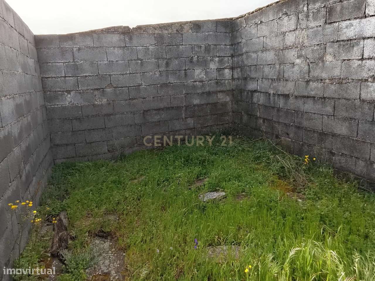 Terreno rústico 16.6ha Montalvão, Nisa-5