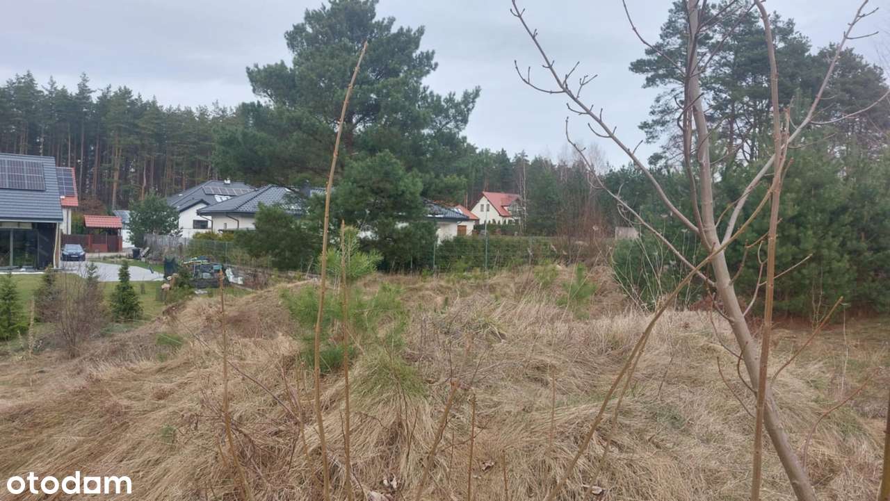 Gowino Zaciszne Zalesie w otulinie Trójmiejskiego Parku Krajobrazowego-13